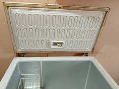 Deep Freezer