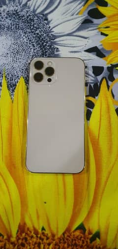 Iphone 12 pro max 256gb pta approved