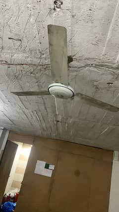 ceiling fan