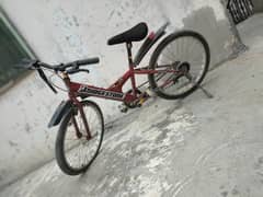 Bridgestone cycle