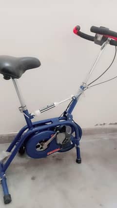 exercise cycle