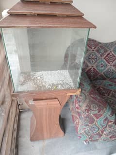 fish aquarium