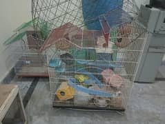 Cages in reasonable price