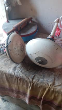 fan purnay hain