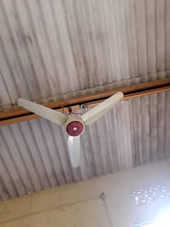 fan for sale