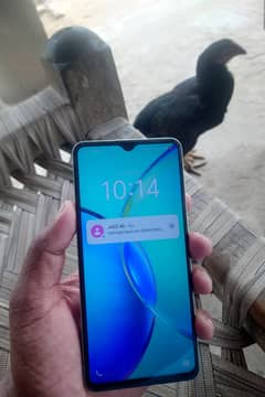 vivo y27s
