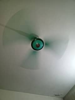 Ceiling Fan Yunas Brand