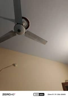 2 ceiling fan cooper