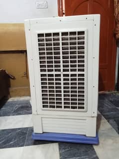 room air color