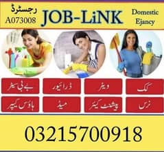 House Maid, Babysitter, Patient Care, Nanny, Nurse, Driver, Chef, Cook