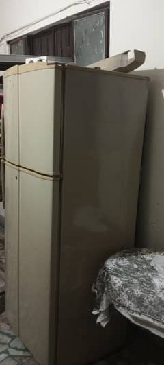 Fridge with Frizer Full Size
