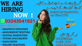 Typing job / Data Entry Job / Assignment Job / Online Job / Part Time
