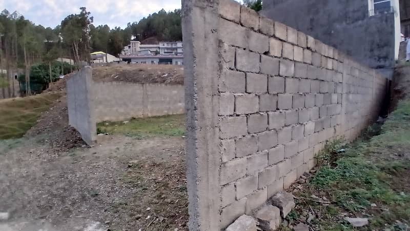8 Marla South Open Plot Prime Location 1