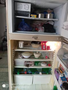 Pel Refrigerater