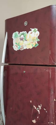 Pel Refrigerator