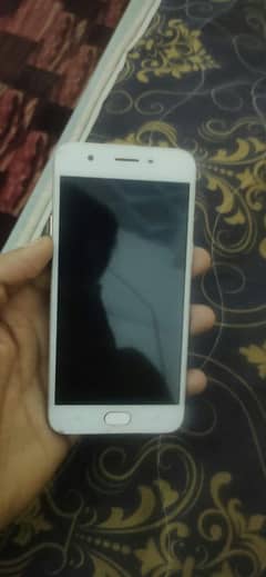 oppo