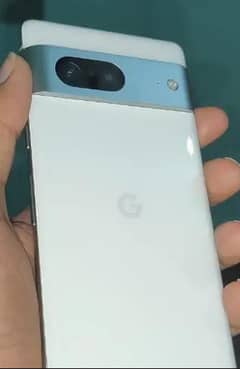 google pixel 7