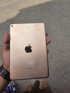 i pad mini 5