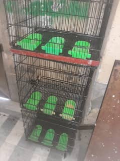 3 portions Cage For Sale for Birds