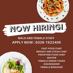 Chef - GRO - Female & Male Jobs - Waiter - Restaurant staff