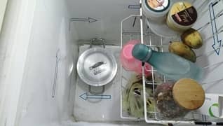 waves deep freezer