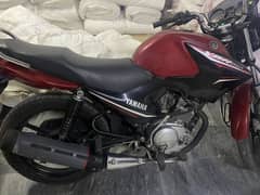 Yamaha ybr 125 ( 2022 model )