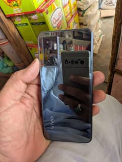 Vivo