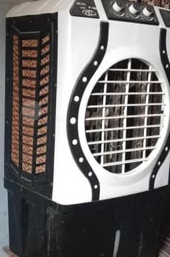 Ac Dc plus soler A1 condition model 2024