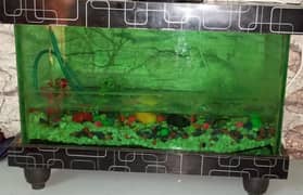 aquarium