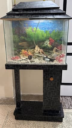 Fish tank aquarium for sell