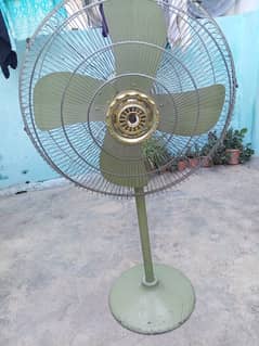 fan
