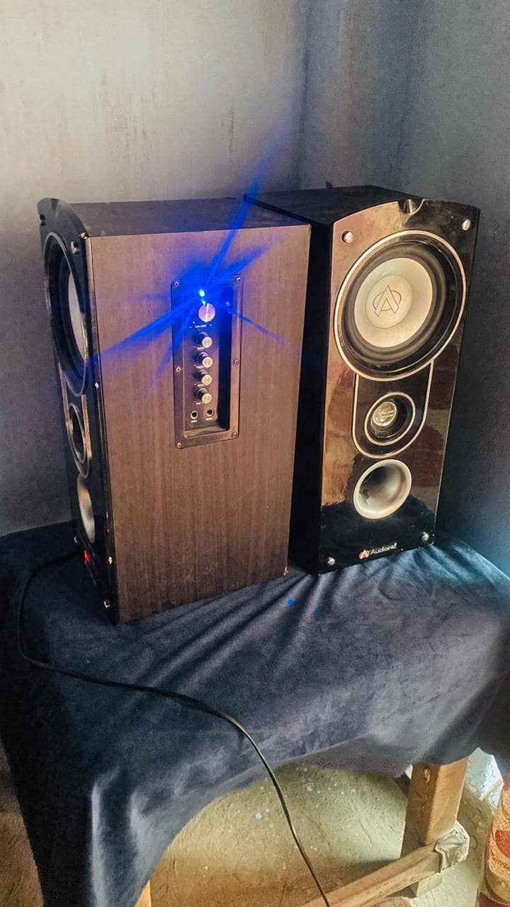 Audionic Speaker 1