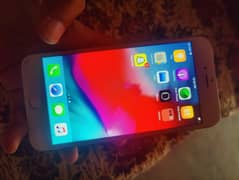 iPhone 6 plus
