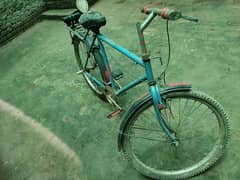 Bicycle for sale