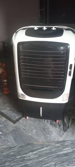 nasGas cooler for sale contact 03145800912