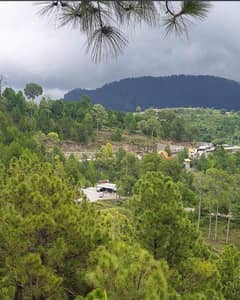1-Kanal