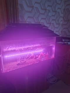3.5ft aquarium will all accessories included