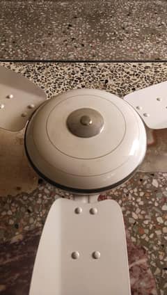 Royal Ceiling Fan – 75W