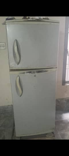waves fridge
