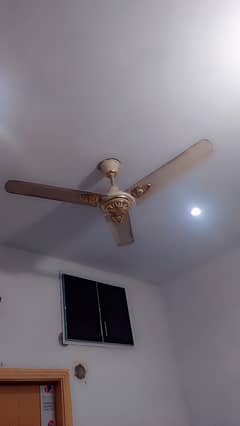 Ceiling fan