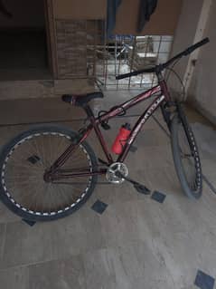 Sportive Cycle For Sale