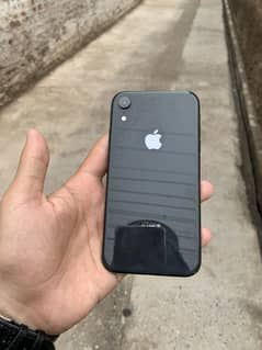 iPhone XR