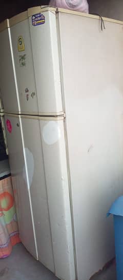 PEL