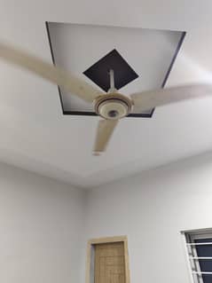 Ceiling Fan 5pcs