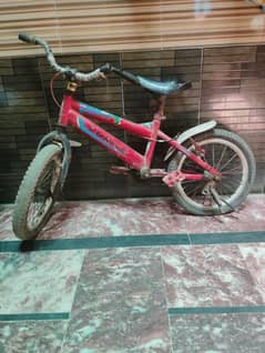 bicycle