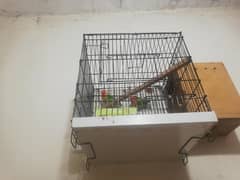 Green opaline Split pf