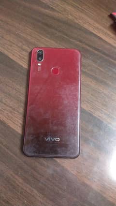 vivo
