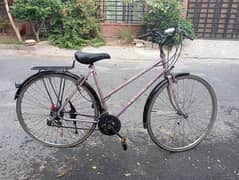 Hybrid Bicycle with gears