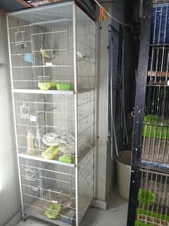 love birds Cage