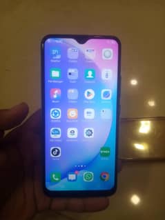 vivo